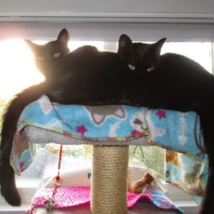 Meet your Posher, Caileigh